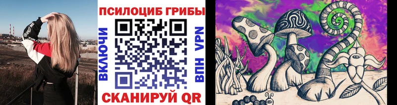 Псилоцибиновые грибы GOLDEN TEACHER  kraken как зайти  Ильский 